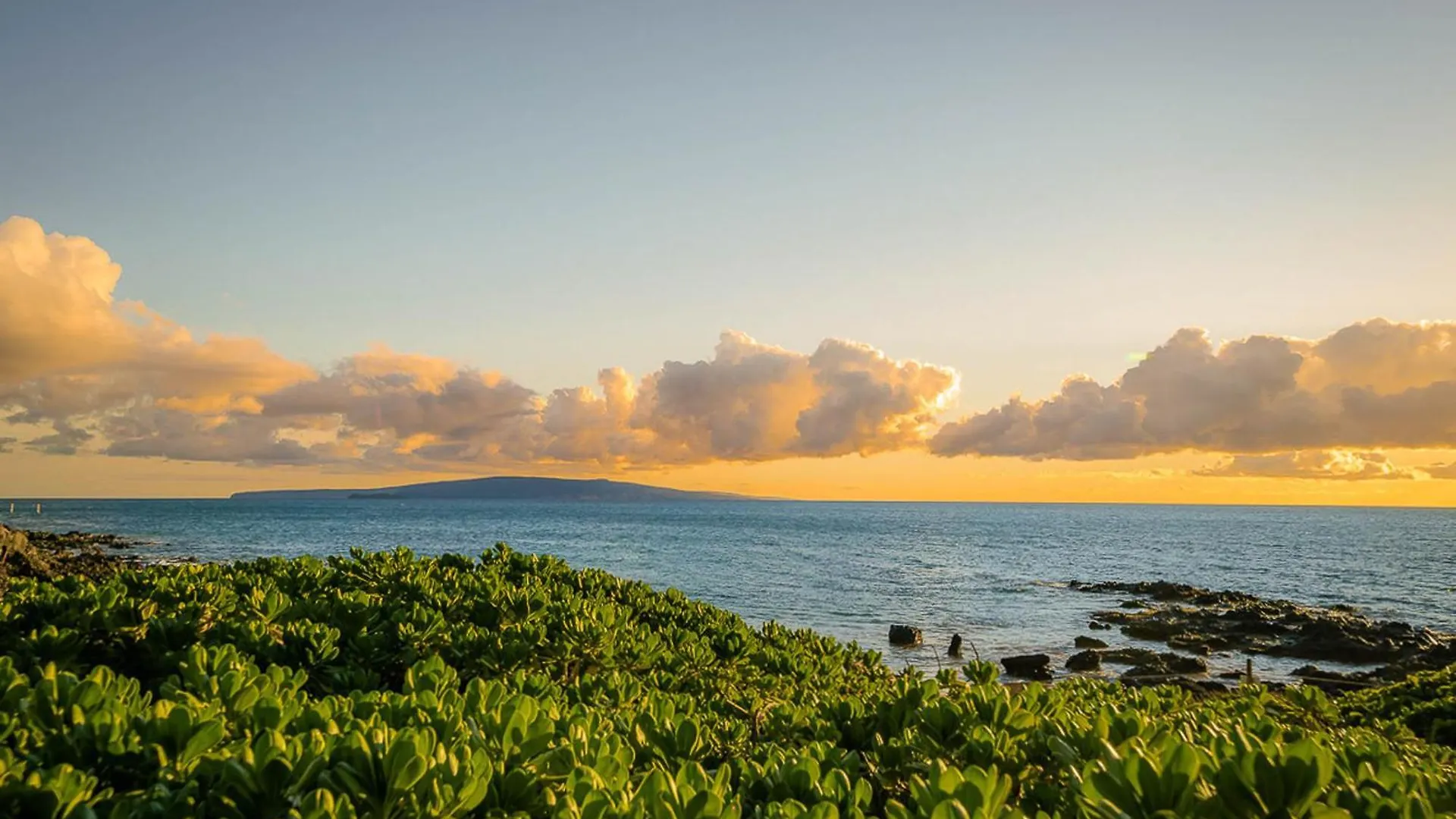 Island Surf 506 Apartment Kihei